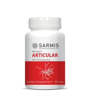 Articular protect Sarmis...
