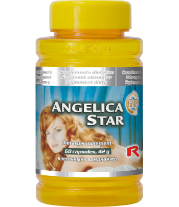 Angelica star