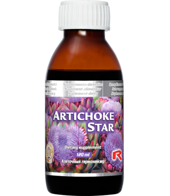 Artichoke Star 120 ml